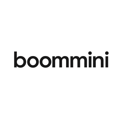 BoomMini Fan